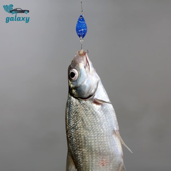 Galaxy Set 12 Mồi Giả Câu Cá Nhiều Màu Sắc Kèm Hộp Đựng