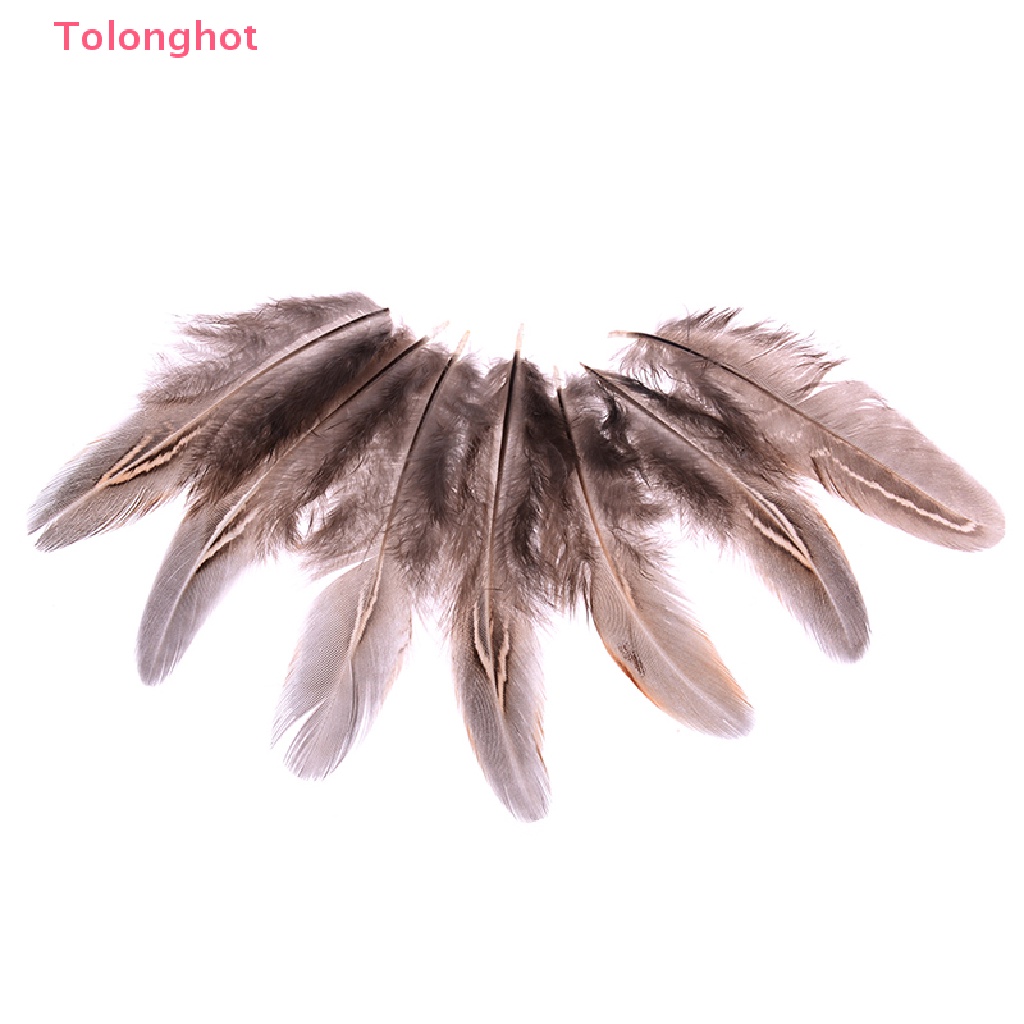 Set 50 Lông Gà 5-10cm Dùng Trang Trí Thủ Công diy