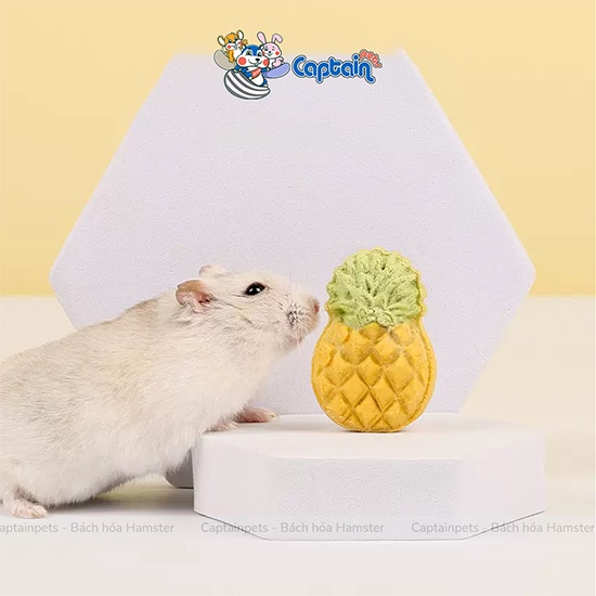 Bánh quy sữa dê làm sạch răng cho Hamster và thú cưng