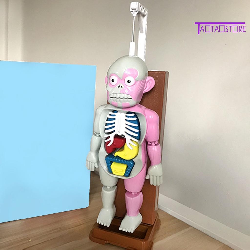 Set 37 Thẻ Ma Nơ Canh Phát Ra Âm Thanh Hóa Trang Halloween