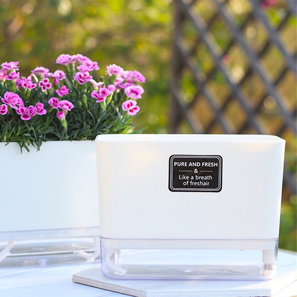 Chậu Trồng Cây Tự Động Bằng Dây Cotton Bện Có Giác Hút Tiện Dụng