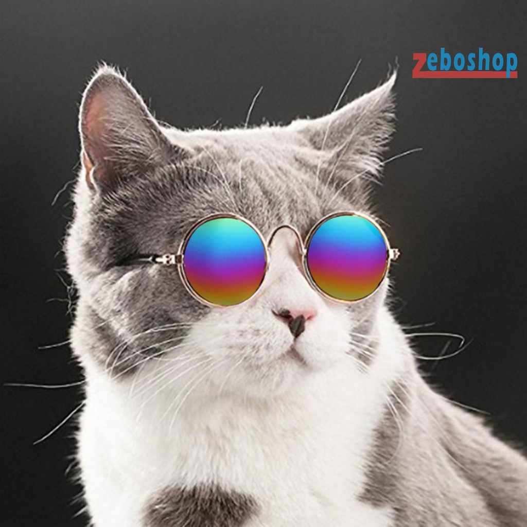 Zeboshop Kính Mát Gọng Mini AC Trong Suốt Thời Trang Cho Thú Cưng Chụp Ảnh
