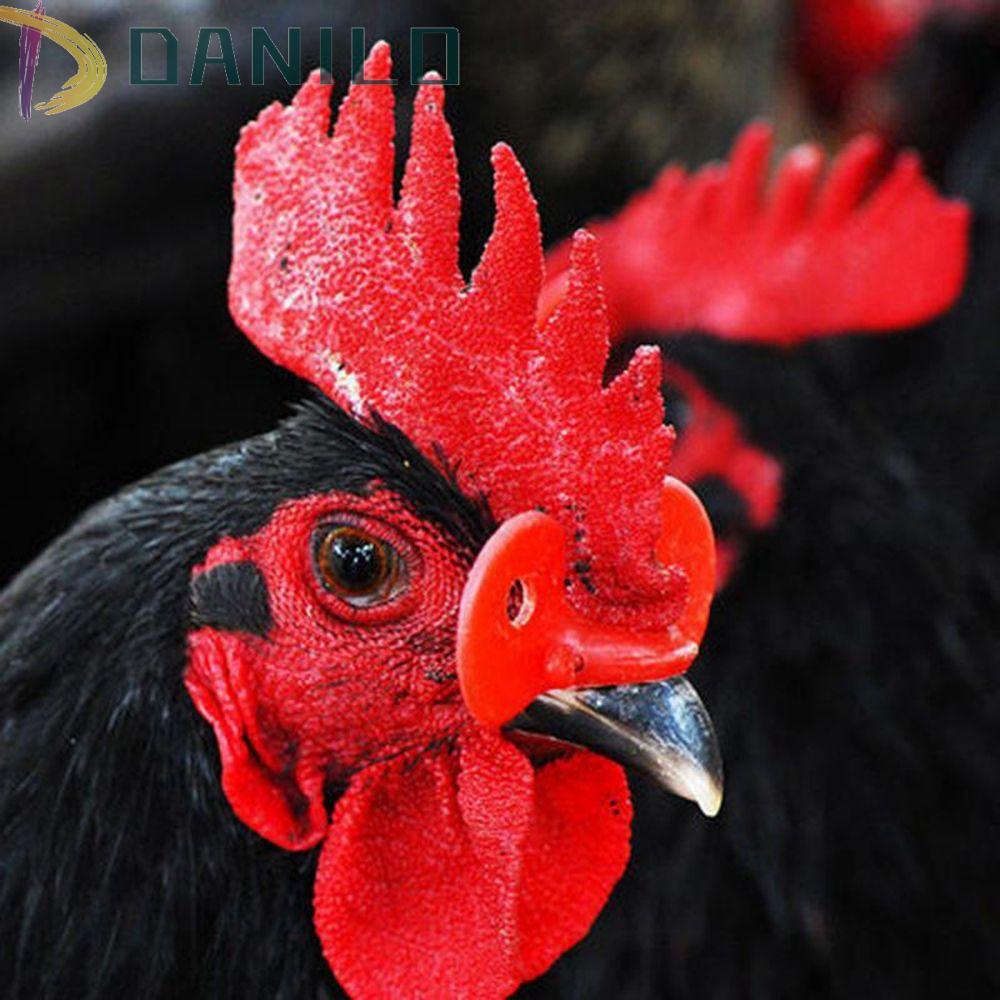 50 Kính Nhựa Không Bị Nghẹt Chuyên Dụng Cho Gà