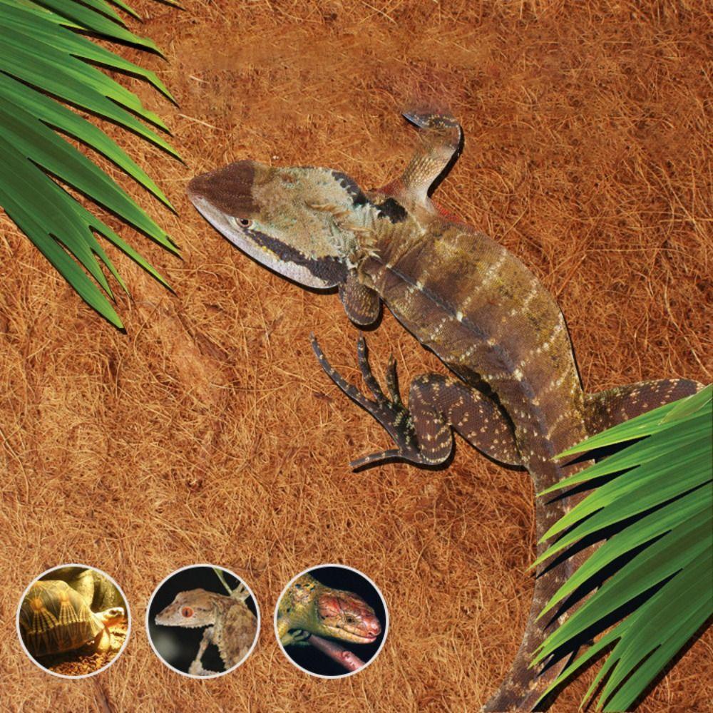 Thảm Sợi Dừa Hình Chữ Nhật Chống Trượt Đa Năng Cho Bò Sát