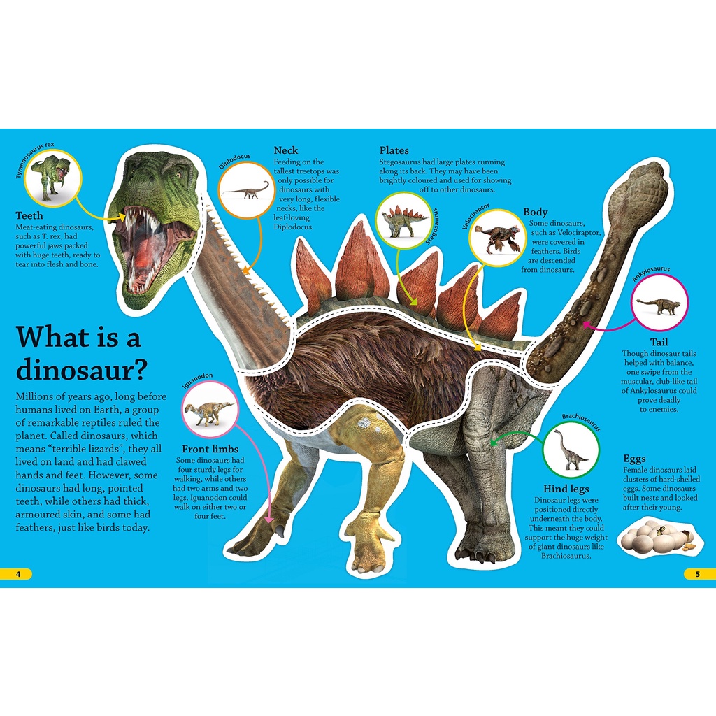 DKfindout! Dinosaurs