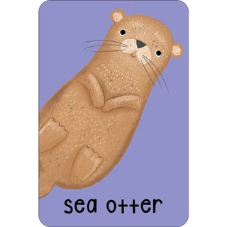 Sách Sea Snap! (Cards)
