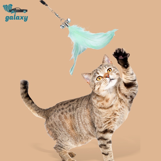 Galaxy Lược Chải Lông Huấn Luyện Thú Cưng 5 Họa Tiết Có Đèn Hồng Ngoại Sạc Usb Đa Năng