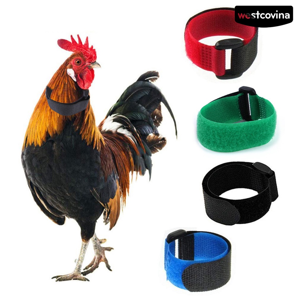 [COD]♞Set 2 Vòng Cổ Nylon Siêu Mềm Chống Mài Mòn Cho Gia Cầm Ngỗng