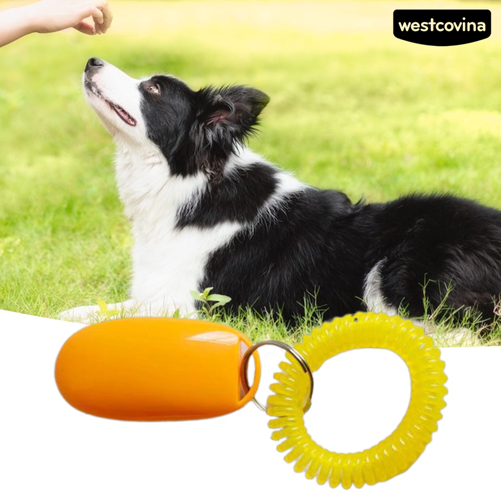 [COD]♞Dụng Cụ Huấn Luyện Thú Cưng Chống Mòn Không Phai Màu Tiện Dụng