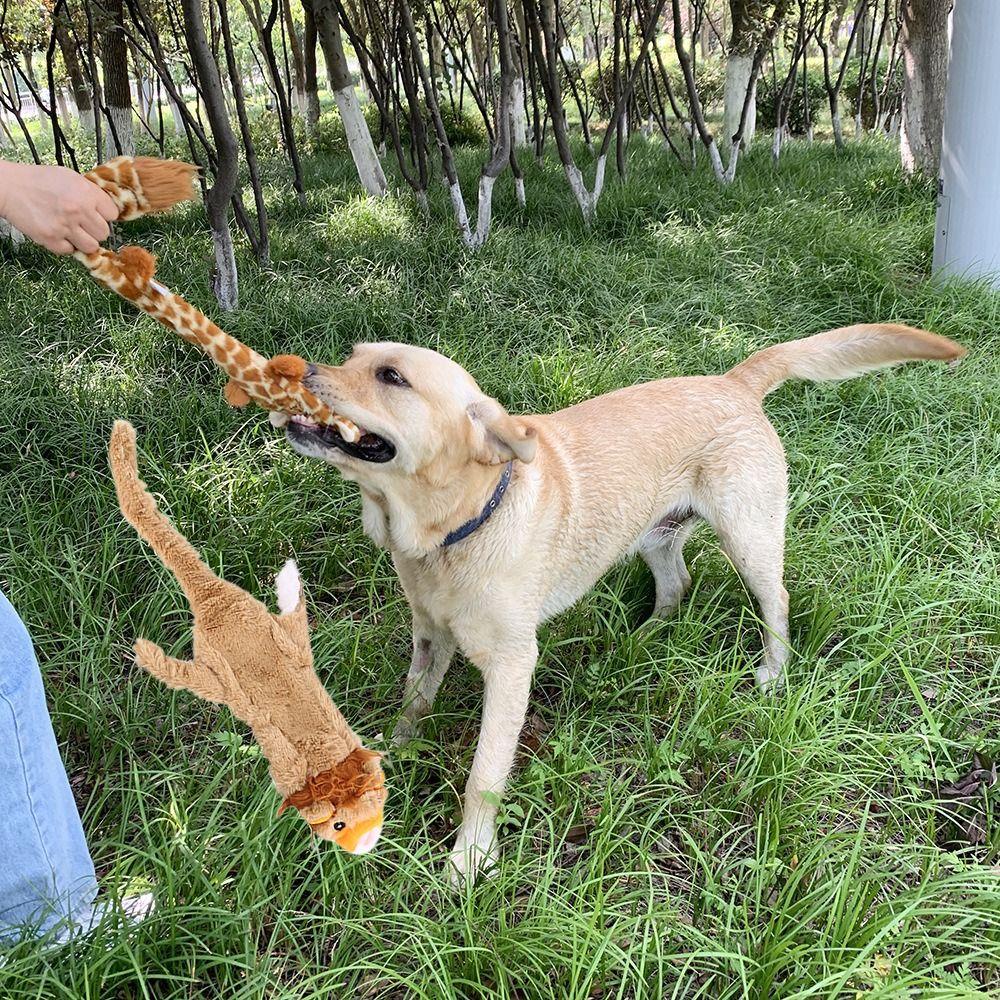 Đồ Chơi Nhồi Bông Mềm Mại Chống Mài Mòn Hình Động Vật Vui Nhộn Cho Cún Cưng AARON1