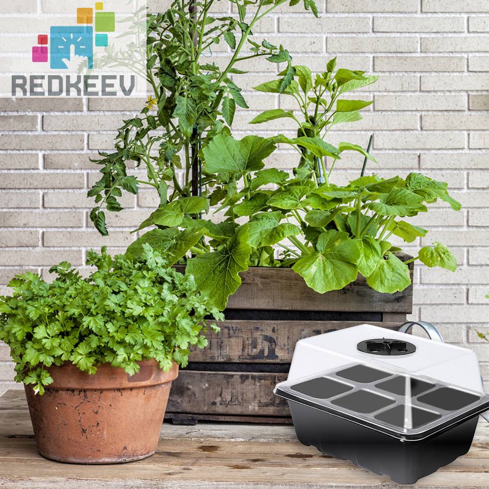 Hộp Gieo Hạt Tiện Lợi Cho Nhà Kính