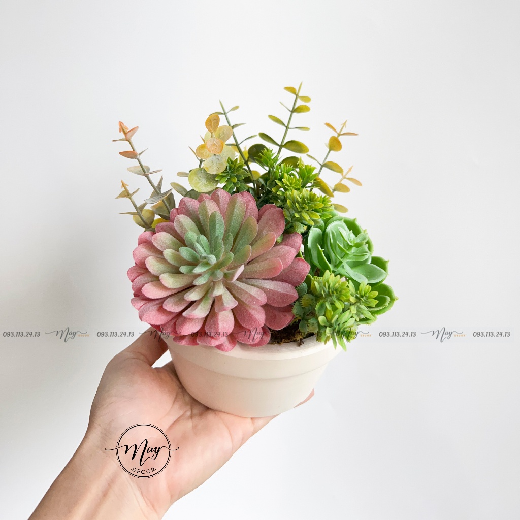 Chậu cây giả, Chậu Sen Quan Âm Hồng Mix sen đá trang trí