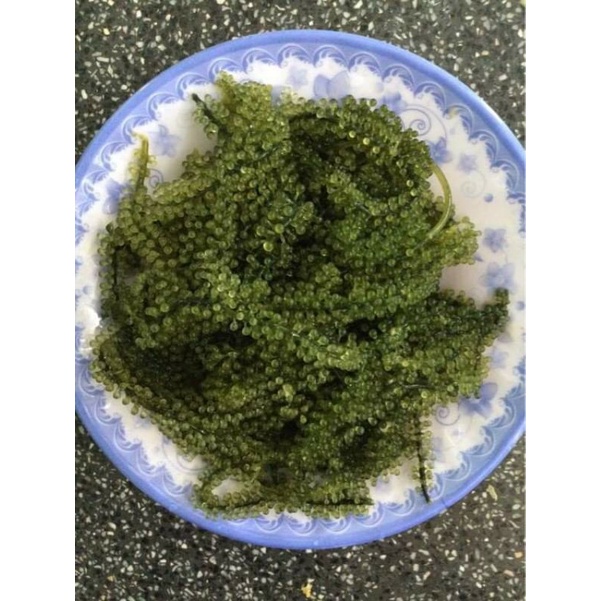 100g Rong nho tách nước được 300g rong tươi + sốt