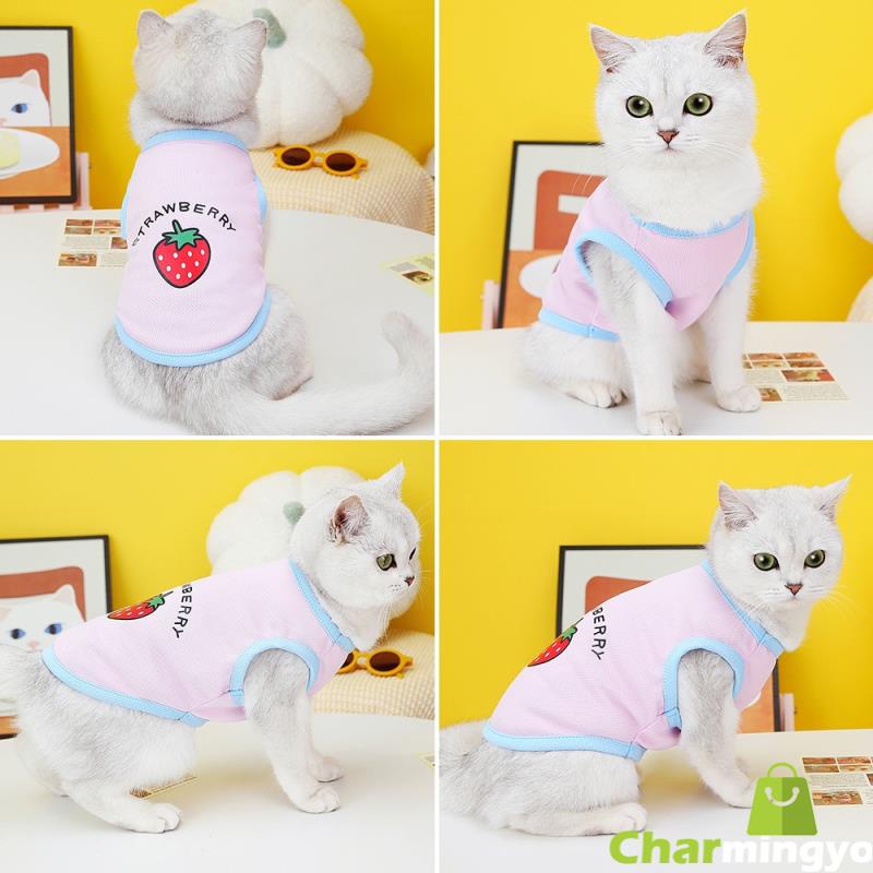 Áo Chống Nắng In Họa Tiết Trái Cây Hoạt Hình Dành Cho Thú Cưng