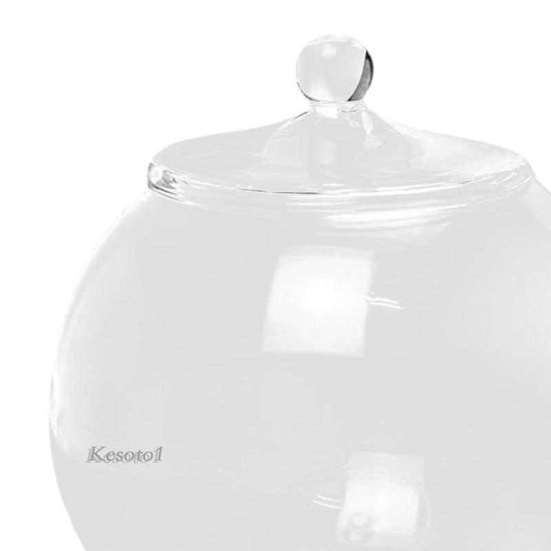 Thủy tinh terrarium centerpiece hộp đựng cây thủy tinh tự làm cho phòng ngủ nuts