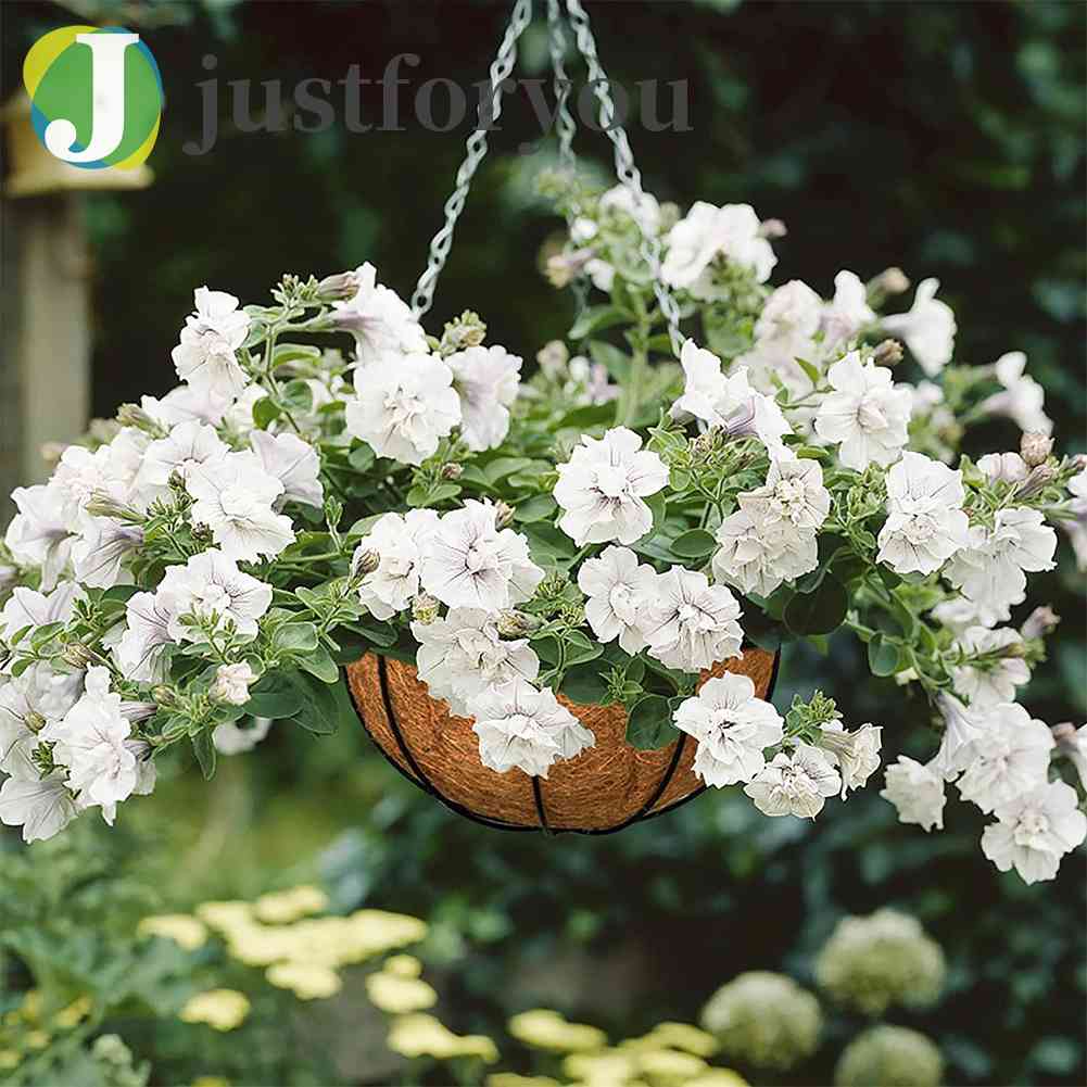Chậu Trồng Cây Bằng Sợi Dừa Tự Nhiên Thoáng Khí Có Thể Cắt Ra Cho