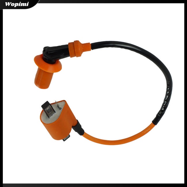 Cuộn Dây Đánh Lửa Áp Suất Cao Cho Xe Mô Tô 125-250cc Atv Cg125