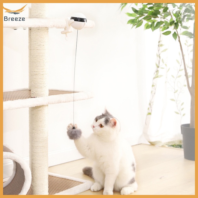 Gậy Đồ Chơi Nâng Bóng Tự Động Tương Tác Vui Nhộn Cho Mèo