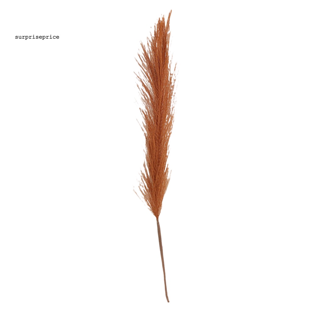 Cỏ Pampas Giả Nhiều Màu Dùng Trang Trí Tiệc Cưới / SPA