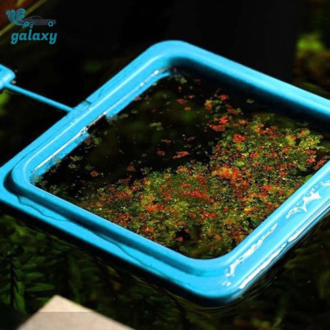 Dụng Cụ Cho Cá Ăn Hình Tròn galaxy Tiện Dụng