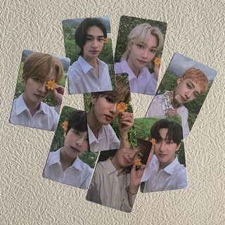 Lomo thẻ ảnh Stray kids ảnh sưu tập 30 tấm