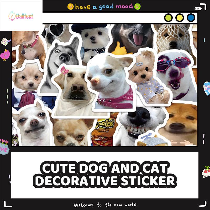 💜Set 60 Sticker Dán Laptop, Điện Thoại, Ván Trượt, Ván Trượt Hình Doge Mèo  Vui Nhộn