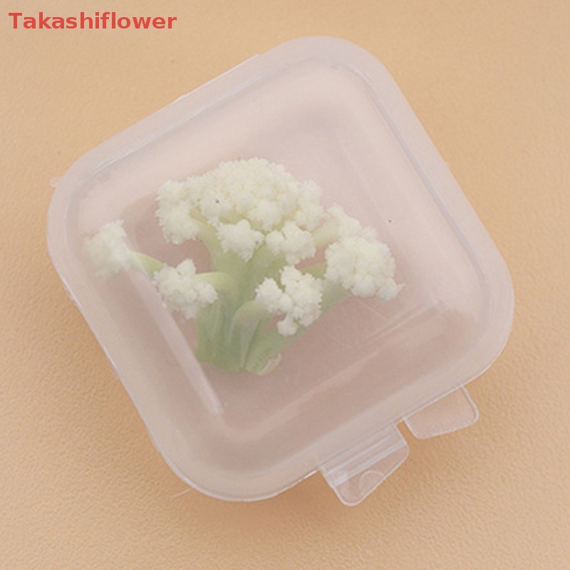 Set 10 Hộp Nhựa Vuông Trong Suốt Đựng Trang Sức Tiện Dụng