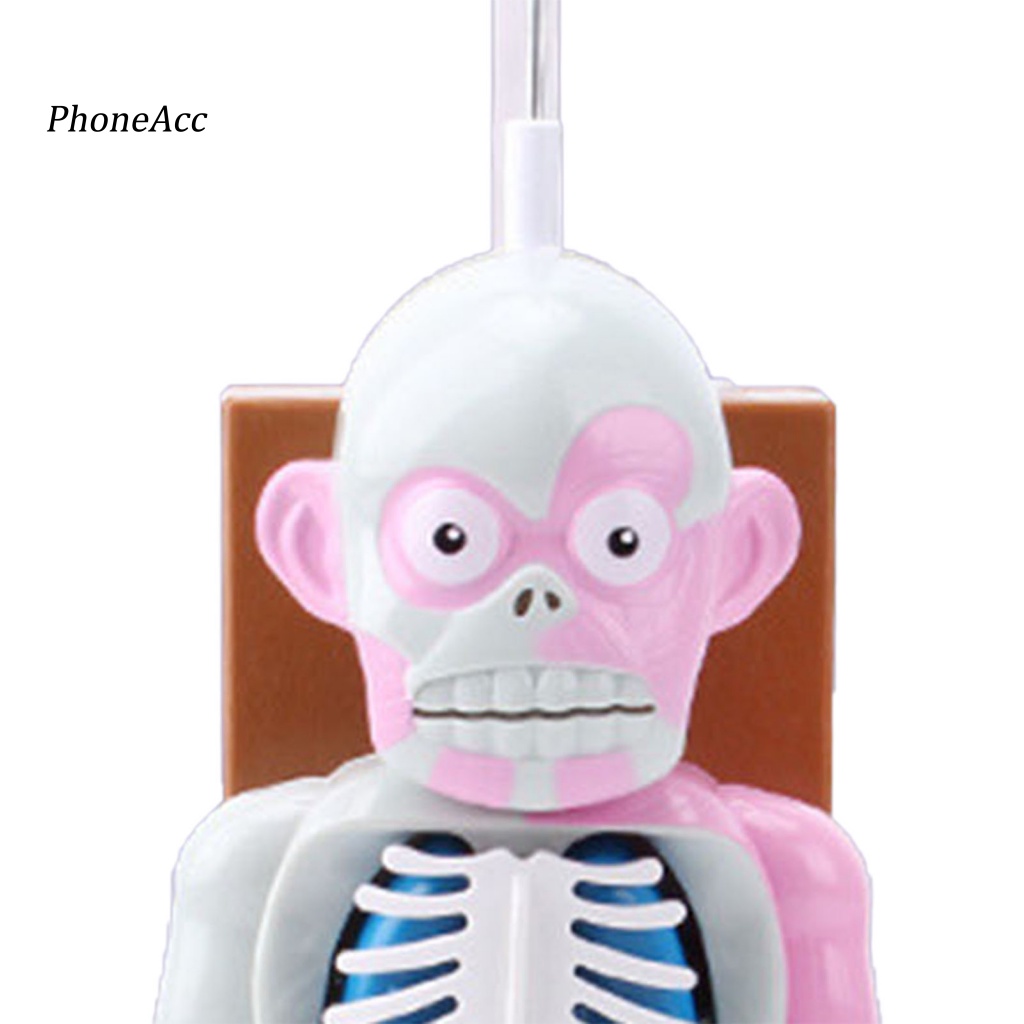 Set 37 Mô Hình Cơ Thể Người Kinh Dị Trang Trí Halloween