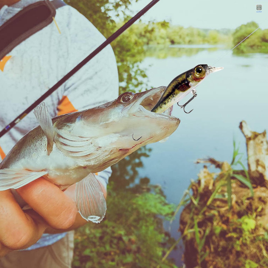 Mồi Câu Cá Giả 68mm 6.9g Bằng Nhựa Cứng 3D Sống Động