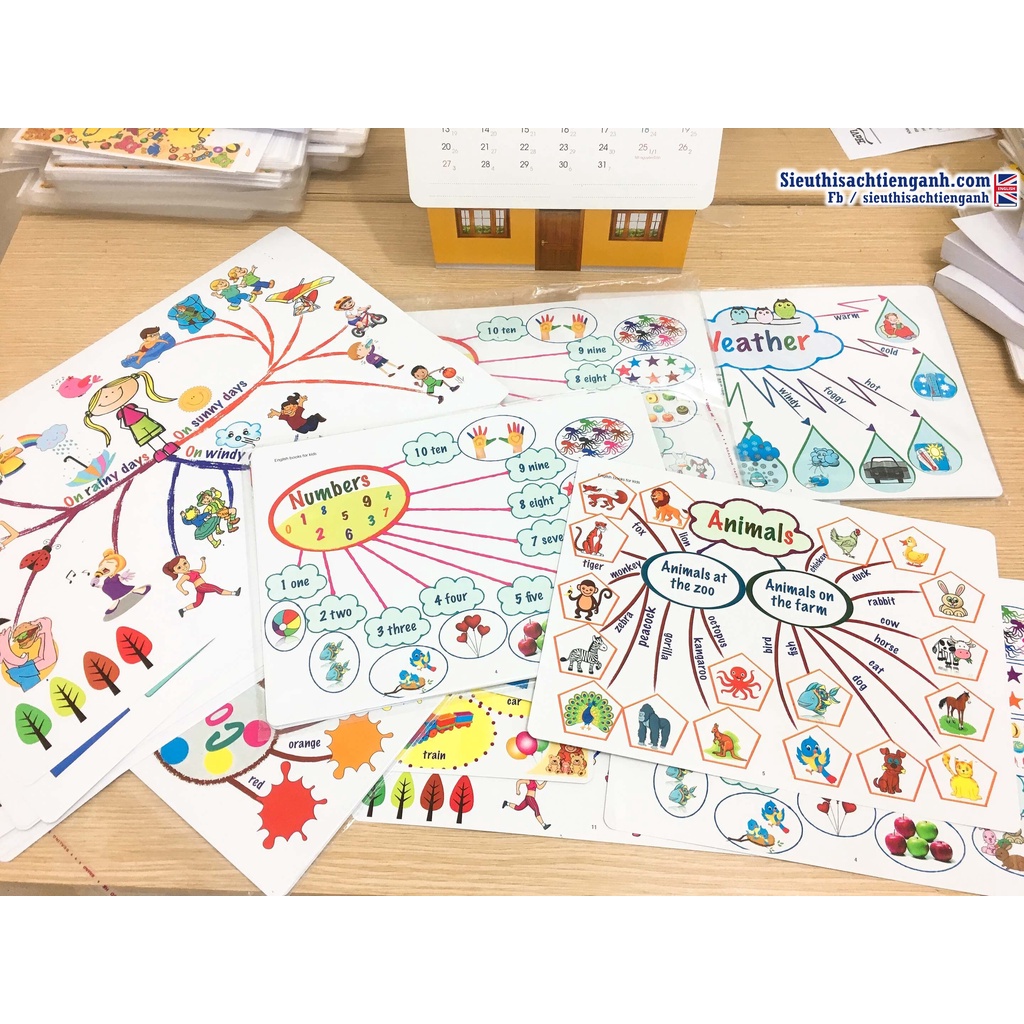 Tranh sơ đồ tư duy MIND MAP - 11 TỜ - A3