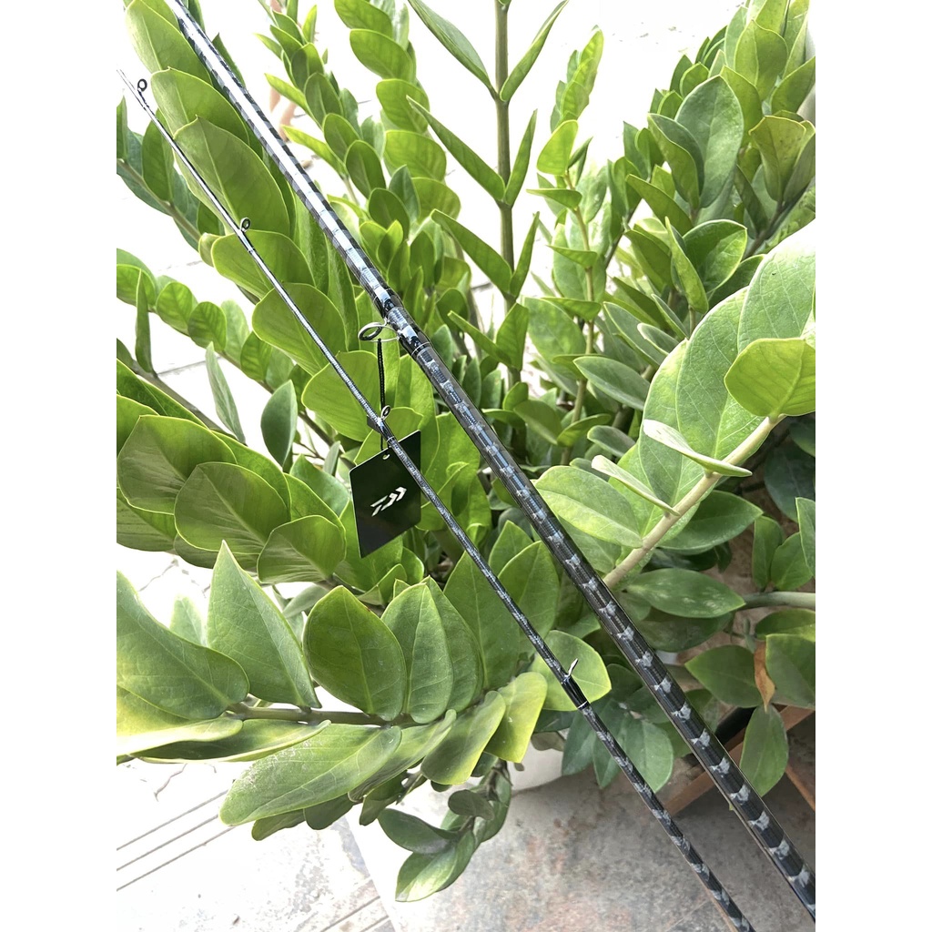 Cần Câu lure Daiwa Blazon 2 khúc -  Máy Ngang, Máy Đứng phiên bản 2021 đồ câu cá Anh Thắng