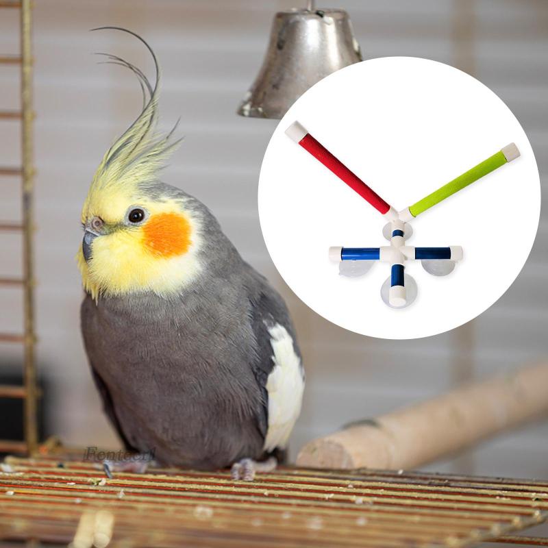 Giá Đỡ Đứng Đồ Chơi Fenteer1 Có Giác Hút Gắn Tường Dành Cho Chim Vẹt