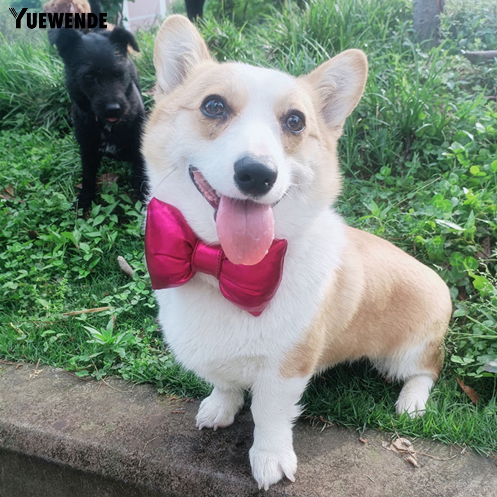 Yq.e Phụ Kiện Vòng Cổ Thắt Nơ Đáng Yêu Trọng Lượng Nhẹ Cho Thú Cưng Chụp Ảnh