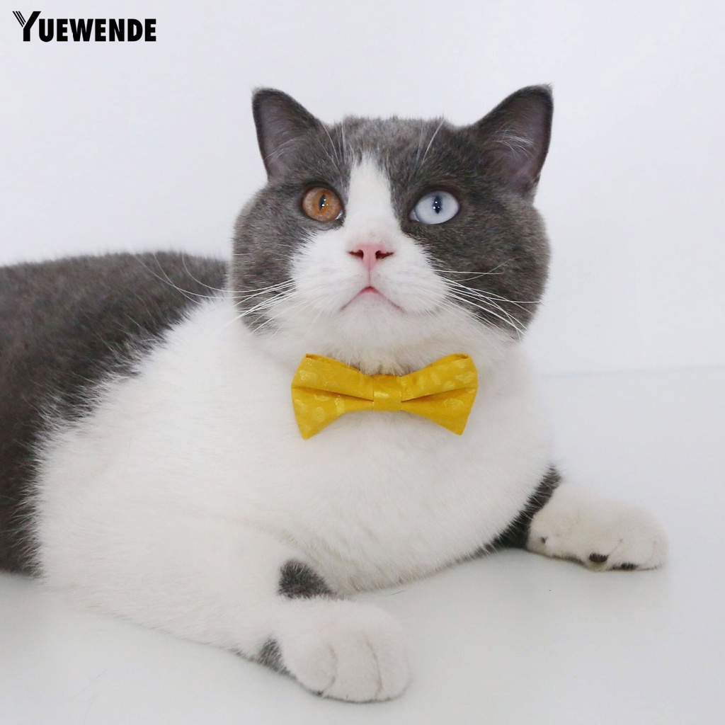 Vòng Cổ Họa Tiết Da Báo Cho Thú Cưng