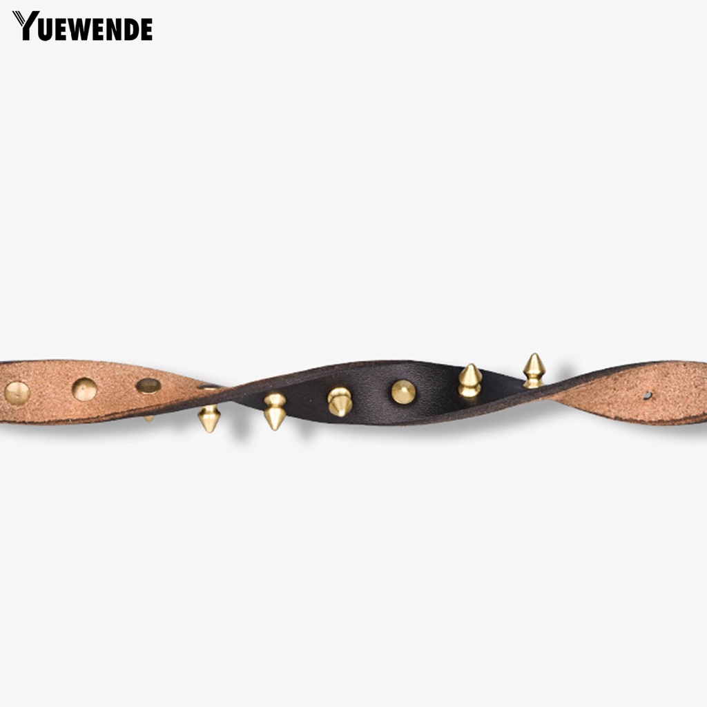 Vòng Cổ Hai Lớp Chống Cắn Dễ Điều Chỉnh Cho Thú Cưng Cỡ Vừa Và Lớn