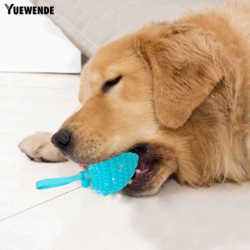 Đồ Chơi Nhai Gặm Hình Trái Cây Trọng Lượng Nhẹ Có Âm Thanh Vui Nhộn Cho Thú Cưng