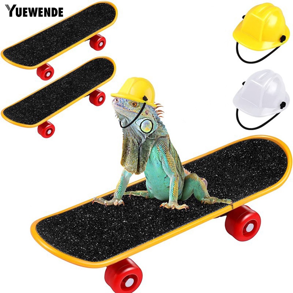 Yq.e 1 Set Mũ Bảo Hiểm Thằn Lằn Mini Co Giãn Thoải Mái Chắc Chắn Để Tập Thể Dục Giảm Căng Thẳng Vui Nhộn Dễ Thương