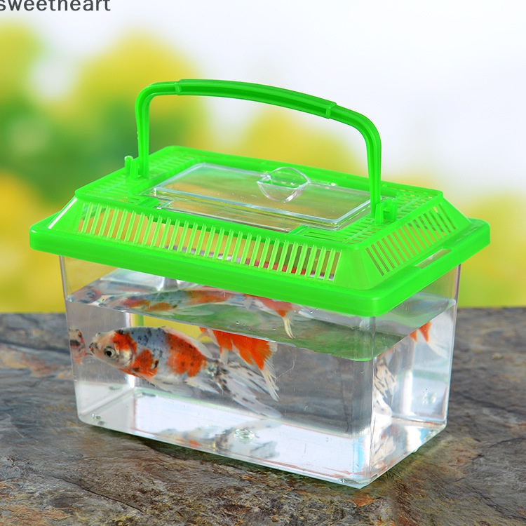 Di động cầm tay nhựa bể cá trong suốt cutout thiết kế cho rùa petfish mới
