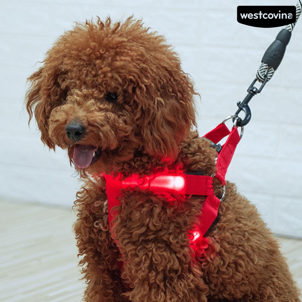 [COD]♞Dây Dắt Thú Cưng Đi Dạo Bằng Polyester Siêu Mềm Chống Mài Mòn Có Đèn LED Tiện Dụng Cho Cún Cưng