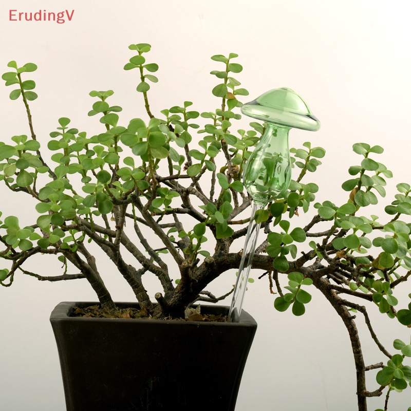 [ErudingV] Bộ Dụng Cụ Tưới Cây Tự Động Hình Nấm Bằng Thủy Tinh Nhiều Màu Sáng Tạo Cho Sân Vườn [Mới]