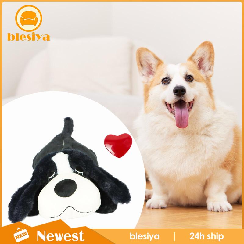 Đồ Chơi Nhịp Tim Huấn Luyện Thú Cưng