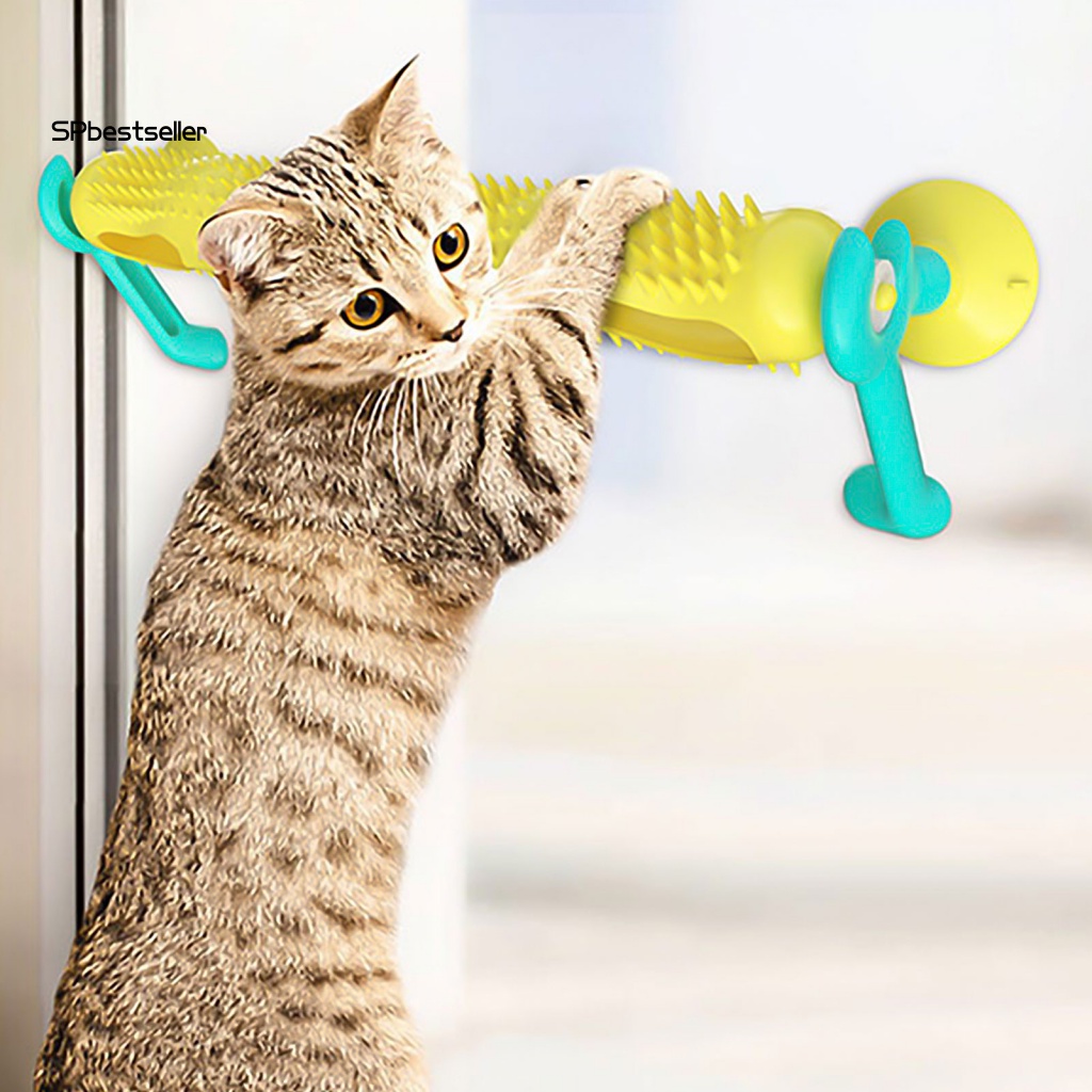 Bóng Đồ Chơi Màu Sắc Tươi Sáng Cho Mèo Cưng