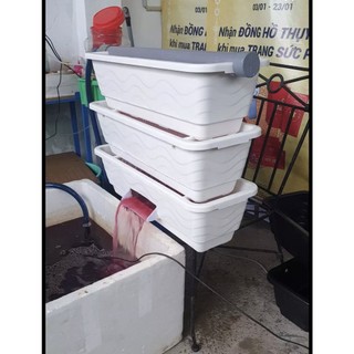 Baki lọc nước hồ cá koi trắng 3 tầng kèm ống mưa, baki chuyên dùng lọc hồ cá tiết kiệm chi phí, công sức dọn vệ sinh