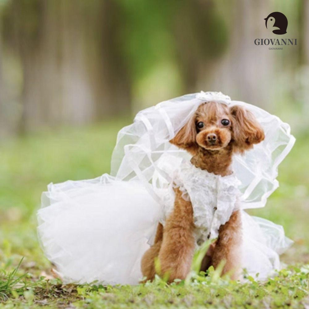 Kẹp Tóc Nơ Xinh Xắn Cho Thú Cưng Chụp Ảnh