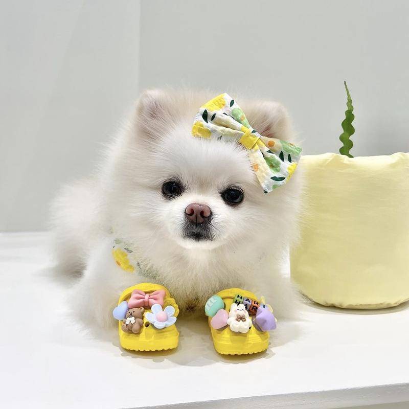 Dép Đi Trong Nhà Chống Trượt Thoáng Khí Dành Cho Thú Cưng