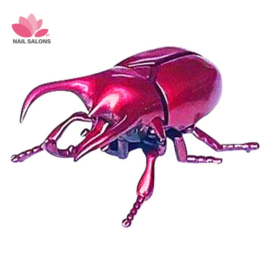 Đồ Chơi Mô Hình Bọ Cánh Cứng Mini Có Thể Di Chuyển Cho Bé