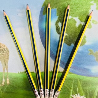 Bút chì gỗ hb gp-04 hàng công ty