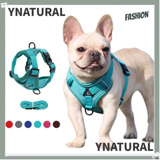 YNATURAL Breathable Small Dog Harness Leash Animal Leash Vest-style Dog Harness Anti-lost Dog Collar Dog Accessories Cat Accessories Walking Dog Leash/Multicolor