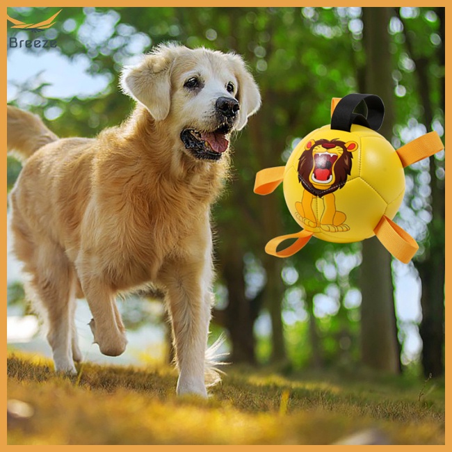 Bóng Đá Đồ Chơi Đa Năng Dành Cho Chó Cỡ Nhỏ / Vừa / Lớn