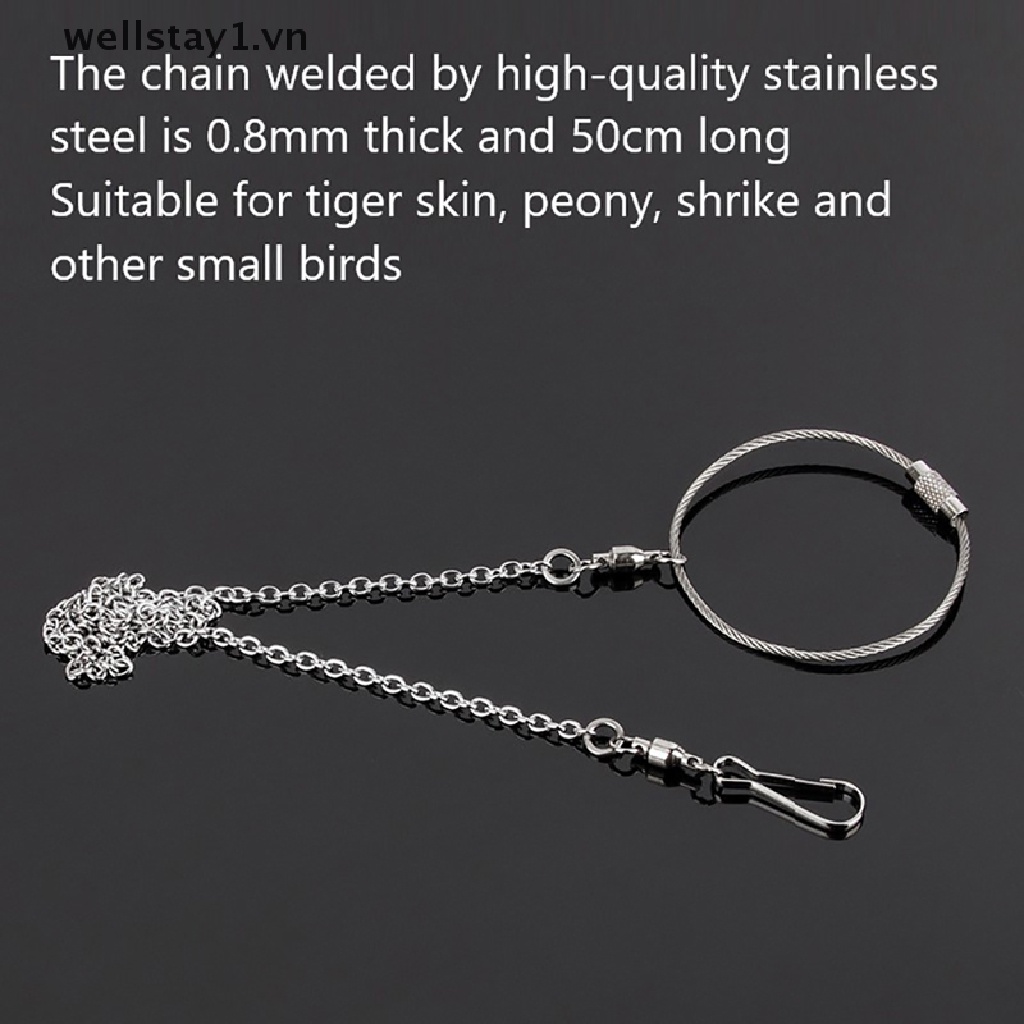 Dây Xích Inox Đeo Chân Huấn Luyện Chim Vẹt wellstay1